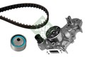 INA (530 0182 30) Wasserpumpe+Zahnriemensatz für RENAULT