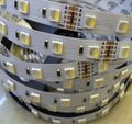 24V/12V 5050 3528 SMD RGB RGBW (RGB+Warmweiß) LED Streifen Strip Leiste Stripes