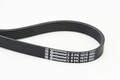 Continental CTAM 6PK1070 Keilrippenriemen für AUDI CITROËN DS LANCIA OPEL SEAT