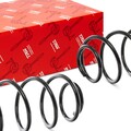 2x TRW Federn Fahrwerksfedern Hinten für VW Passat Variant (3C5) JCS1362