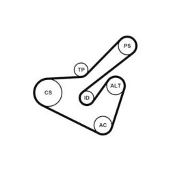 1x Keilrippenriemensatz CONTINENTAL CTAM 6PK1725K2 passend für CITROËN