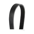 1x Keilrippenriemen HERTH+BUSS JAKOPARTS J1061263 passend für AUDI FIAT FORD
