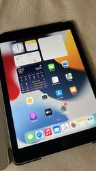 Apple iPad Air 2 64GB, WLAN + Cellular (Entsperrt), (9,7 Zoll) - Spacegrau