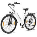 28 Zoll Elektrofahrrad 20AH E-Bike 250W Mittelmotor Cityräder 36V E-MTB Pedelec