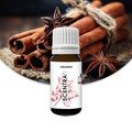 Duftöl | Aromaöl für Kerzen | Ätherische Öle | Zimt – 20/100 ml