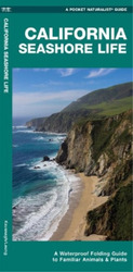 Waterford Press James Kavanagh California Seashore Life (Broschüre)
