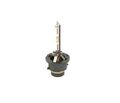 Glühlampe  Hauptscheinwerfer Bosch 1 987 302 904 für MERCEDES BENZ MG