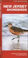 James Kavanagh (u. a.) | New Jersey Shorebirds | Broschüre | Englisch (2022)