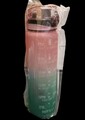 Trinkflasche Time Marker 1L extra groß Motivations Gym Sport Flasche mit Bürste