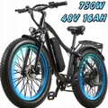 750W Elektrofahrrad 25km/h eBike 26'' E Mountainbike 48V/16AH e-MTB BURCHDA RX02