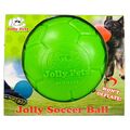 Jolly Soccer Ball 15cm Apfelgrün Fußball Hunde Apportieren
