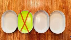 SureFeed Futterschalen zur Auswahl 3x grau gebraucht Schale Pet bowl
