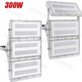 2x 300W LED Fluter Modul Flutlicht Strahler Scheinwerfer Baustrahler 30000LM DE