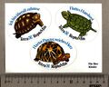 Aufkleber/Sticker Tetra ReptoMin Schildkröten Futter