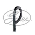 Keilriemen Gates 6222MC für Austin Chrysler Dodge Fiat Ford Honda Jaguar Lancia