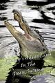 Me-Mon (u. a.) | Jimmy's Adventures in the Green Swamp | Taschenbuch | Englisch