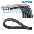 Keilrippenriemen DAYCO 5pk810 für BMW 3er 3er Touring 5er X5