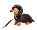 Uni-Toys Dackel Plüschtier 27cm mit Leine, Waschbar, Geschenk, Qualität NEU