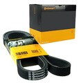 CONTI 6PK2080K1 Keilrippenriemensatz mit Rollen für BMW 3 E46 5 E60 E61 6 E63