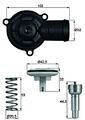 MAHLE Kühlmittel Thermostat Für SEAT Cordoba SKODA Fabia I VW 01-15 03C121110A