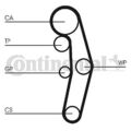 CONTINENTAL CTAM (CT1028K2) Zahnriemensatz für AUDI FORD SEAT SKODA VW