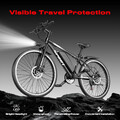 Elektrische Mountainbike Ebike 750W Peak Motor Fahrrad 45miles 25mph 48V Commute