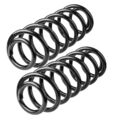 2x Feder Fahrwerksfeder Hinten für VW Passat 3C2 3C5 Tiguan 5N 1.4 TSI 2.0 TDI