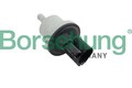 BORSEHUNG Ventil Aktivkohlefilter B12188 für VW Golf V Schrägheck (1K1) CC (358)
