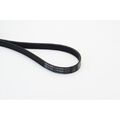 1x Keilrippenriemen CONTINENTAL CTAM 6PK2000 passend für ALFA ROMEO LANCIA VW