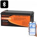 12V 200Ah LiFePO4 Bluetooth Akku Lithium Batterie 200A BMS für Solaranlage Boot 