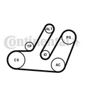 Keilrippenriemensatz CONTINENTAL CTAM 6PK1580K1 für SEAT AUDI B8 A5 A4 A6 8K2 ST