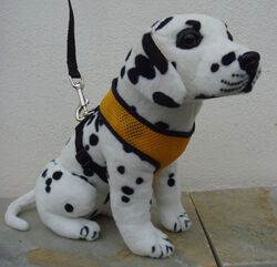Hundegeschirr 🐱 Softgeschirr Brustgeschirr Geschirr Hund Welpengeschirr Harness