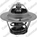 CALORSTAT by Vernet Thermostat, Kühlmittel TH6313.82J für NISSAN AUDI