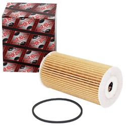 ASHIKA ÖLFILTER FILTEREINSATZ passend für CHRYSLER GRAND LANCIA VOYAGER |