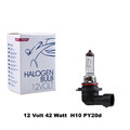 M-Tech 12V 42W H10 / 9145 PY20d Halogen Glühlampe Autolampe Glühbirne  M22