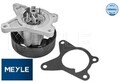 MEYLE 16-132200025 Wasserpumpe Wapu für Nissan für Renault 