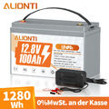 12V 100Ah LiFePO4 Lithium Batterie Akku mit 100A BMS für RV Solar Wohnmobil Boot