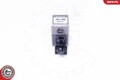 ESEN SKV Sensor, Einparkhilfe 28SKV073 für LEXUS TOYOTA