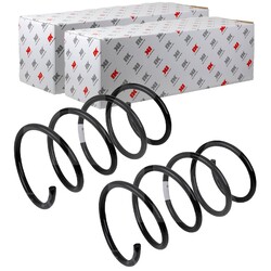 2X NK FAHRWERKSFEDERN SATZ VORNE LINKS RECHTS PASSEND FÜR MERCEDES-BENZ