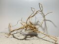 Drachenwurzel, Curl Wurzel, Aquarienwurzel Ähnlich Mangrove #1332 75x27x58cm