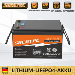 12V 200Ah LiFePO4 Lithium Batterie Akku BMS für RV Solar Boot Caravan Bluetooth◆ Inkl. 0% MwSt. für Berechtigte nach § 12 Abs. 3 UStG*
