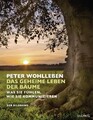 Das geheime Leben der Bäume | Peter Wohlleben | 2016 | deutsch