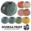 Lana Grossa DIVERSA Print 50 g leichtes Baumwoll-Mischgarn mit Mélange-Effekt 