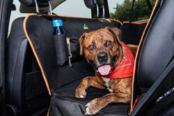 Hunde-Schutz-Decke Rücksitz Autoschondecke Hund mit Seitenschutz Hundedecke Auto