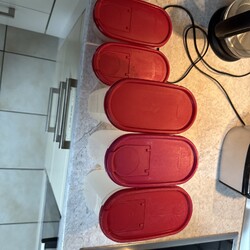 Tupperware  ovale  Eidgenossen  5 Stück 3x 1,7L 2x 500ml