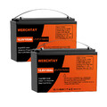2 PACK 12V 100AH LiFePO4 Lithium Batterie BMS Akku Wohnmobile Solaranlage Boot