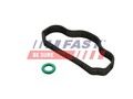 Dichtung Zylinderkopfhaubenschrauben FAST FT48302 für FORD TRANSIT V363 FCD FDD