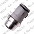 CALORSTAT by Vernet Kühlmittel Wasser Temperatur Sensor WS3042 für C4 A6 AUDI 20