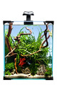Aquarien Set Nano LED 20l 5,7W Aquarium Komplettset Filter Heizung Beleuchtung