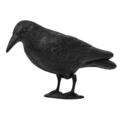 Vogelschreck stehend Krähe Rabe Vogel Tauben Abwehr Vogelscheuche Taubenschreck